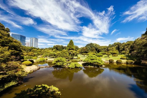 Shinjuku Gyo-en is a large park and garden in Shinjuku and Shibuya, Tokyo, Japan, Asia