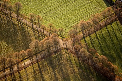 Wayside cross with avenue of trees in autumn. Lines, line management, aerial view