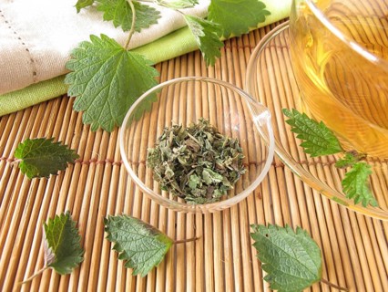 Nettle tea