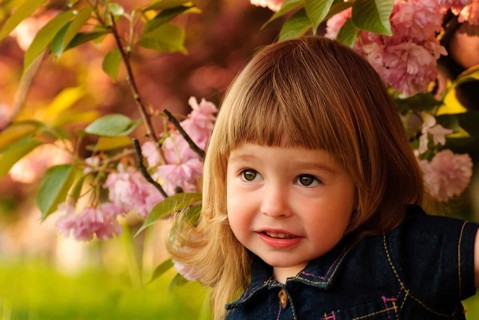 Little girl in garden, under the sakura tree
