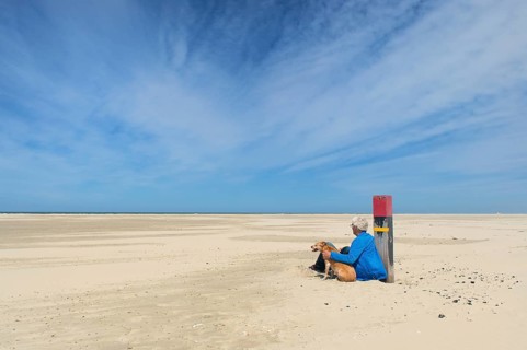 Walking the dog at the beach