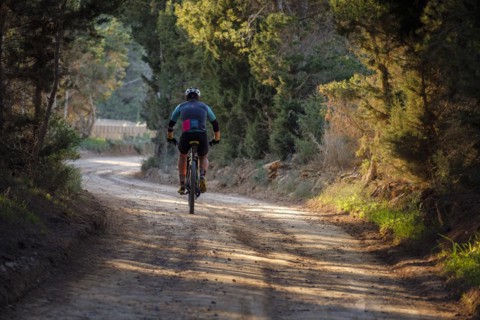 Mountain biker on the greenway Sant Francesc-La Mola, Formentera, Pitiusas Islands, Balearic