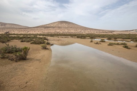 A sandy beach with a shallow lagoon by the sea. Barren landscape, taken in the evening. sandy beach
