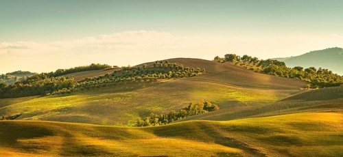 Fields in Tuscany