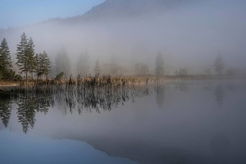Morning fog at Ferchensee near Mittenwald