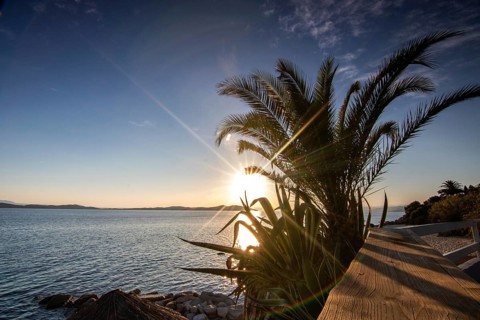 View through palm trees on a sandy beach into the sunset. Landscape shot with view to the horizon