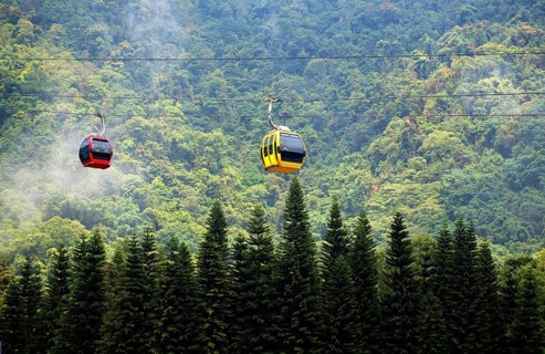 Gondolas of a ropeway travel above a misty forest