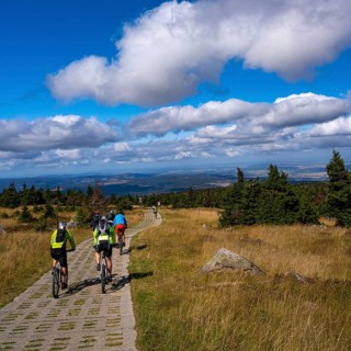 On the mountain bike on the brocken