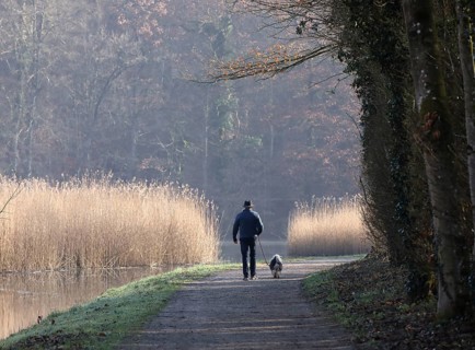 Elderly man walking a small dog on the shore of a lake, morning calm in autumn, Burghausen, Upper