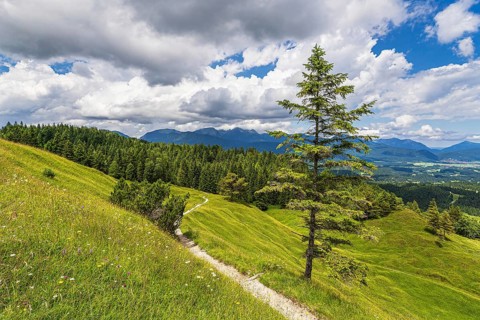 View from the Hoher Kranzberg to the Estergebirge near Mittenwald