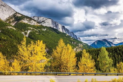 The dramatic storm clouds over the Rocky Mountains. The road is among autumn dense evergreen and