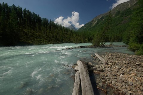 The mountain river in the mountains. Current through the gorge the river. Stones and rocky land