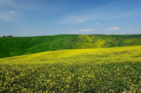 Springs brings an explosion of volours in the Tuscan valleys