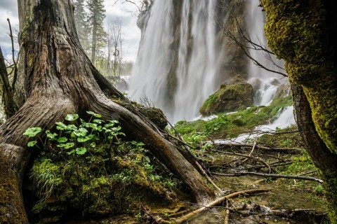 Parque Nacional de los Lagos de Plitvice, Patrimonio Mundial de la UNESCO, Croacia, europa