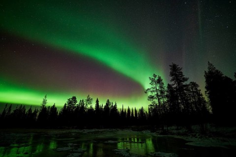 Northern Lights (Aurora borealis), Muddus National Park, Laponia World Heritage Site, Norrbotten,
