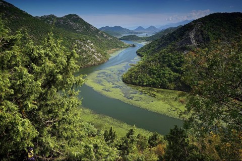 Montenegro, Skadar Lake, Skutari Lake, Lake Skadar, Montenegro, Europe