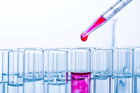 Many test tubes during an experiment in a university research laboratory. Symbolic photo for