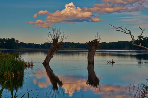 Stuerscher See nature paradise near Stuer, Mecklenburg-Western Pomerania