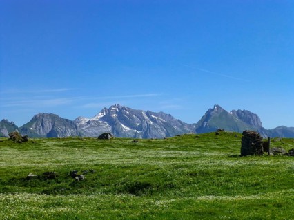 During a hike on Toggenburger Hoehenweg, you'll pass this beautiful meadow with view to Saentis, a