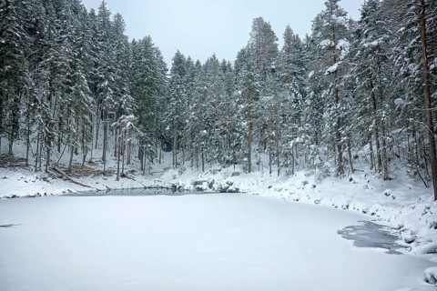 An image of the Eibsee at winter