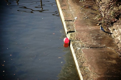 A pigeon stands and a red balloon floats on the bank of a river