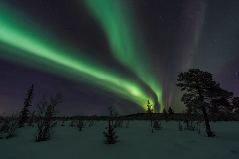 Northern Lights (Aurora borealis), Sjaunja Nature Reserve, Laponia World Heritage Site, Norrbotten,