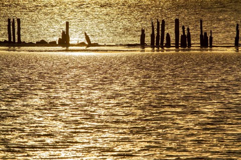 Pictures of the island of Rügen Holidays in Germany