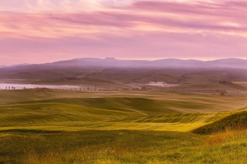 Morning fog view on farmland at Valley d Orcia in Tuscany, Italy. Filtered shot