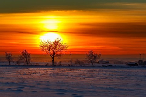 Sunrise in winter landscape with trees and wind turbines in silhouette