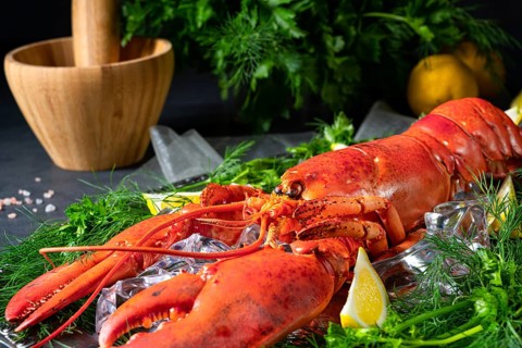 The cooked lobster on ice
