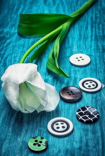 White tulip and buttons for clothing on light blue wooden background