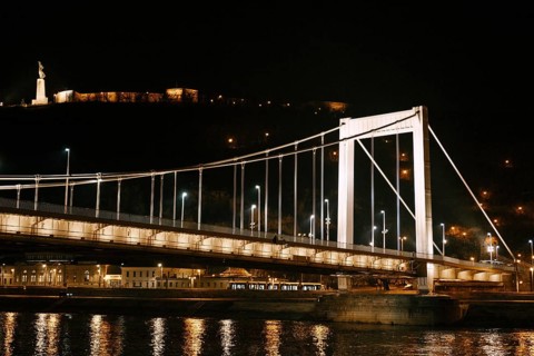 Elizabeth bridge in Budapest close up at night.