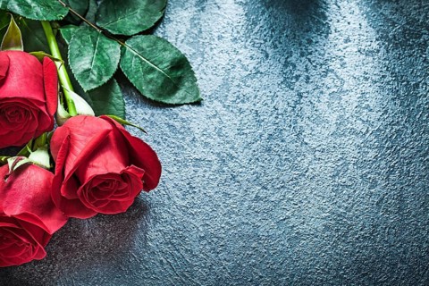 Natural red roses on black background holidays concept