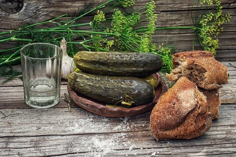 Pickled cucumbers with dill and vodka shot glass on wooden background in country style.Photo tinted