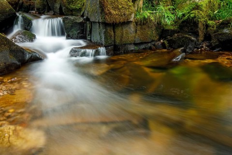 Cascade