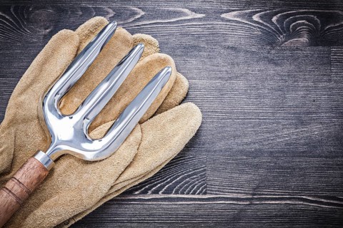 Stainless trowel fork leather safety gloves agriculture concept