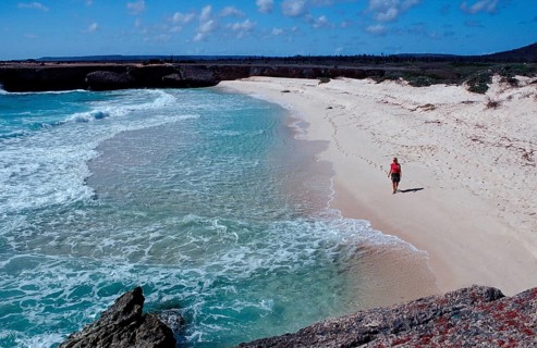 Coast at Playa Chikitu, Netherlands Antilles, Bonaire, Caribbean, Caribbean Sea, Washington