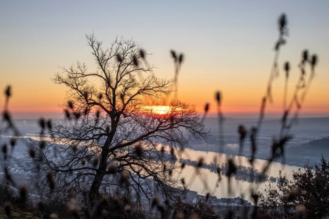 Beautiful park at sunrise on a winter morning. Beautiful view of the Rhine valley at sunrise.