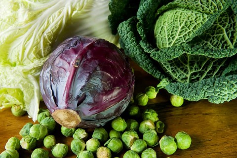 Still life with assortment cabbages on wooden table