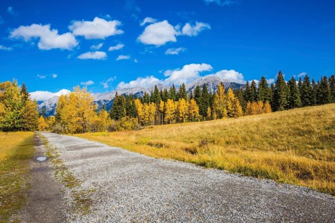 The concept of recreational tourism. Bright shining autumn day in Canmore, near Banff National Park