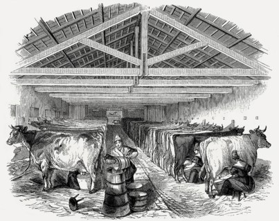 Old English cowshed, 19th century