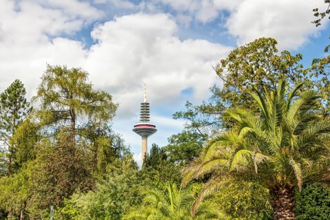 Palmengarten und Europaturm in Frankfurt am Main