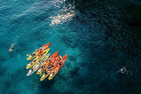 Tourists swim in the turquoise sea near a team of kayakers in kayaks. Drone., ????????