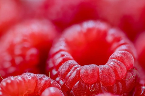 Raspberries with shallow depth of field, close-up