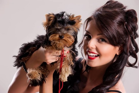 Young beautiful brunette woman in a black dress with a Yorkshire terrier, Novosibirsk, Russia,