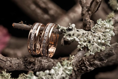 Engagement rings on a dry autumn branch and leaves on a glass background