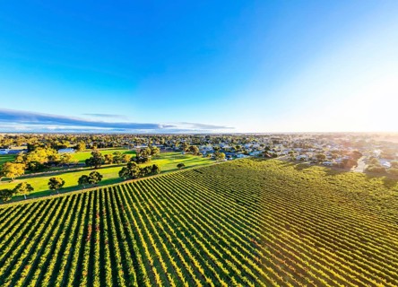 Autumn sunset around the rural country town of Penola in the Coonawarra wine region in South