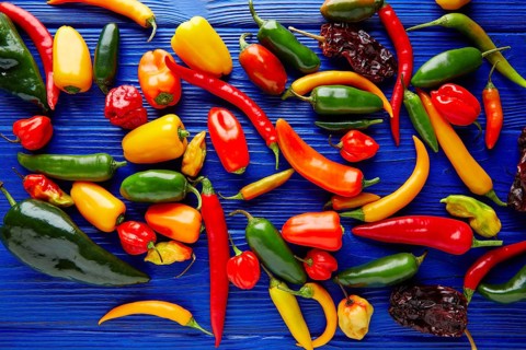 Mexican hot chili peppers colorful mix habanero poblano serrano jalapeno sweet