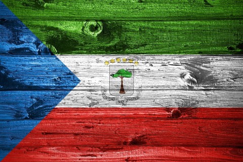 Equatorial Guinea flag on wooden planks background wood flag