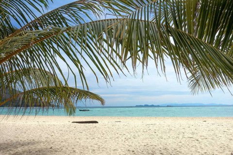 Palm leaves and white sand beach, tropical background